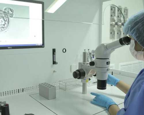 河南借卵助孕机构推荐与费用解析：2026年生男孩条件