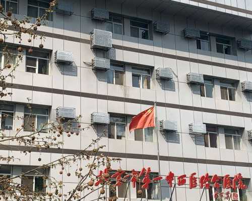 探寻生育新希望：辅助生殖与助孕技术前沿