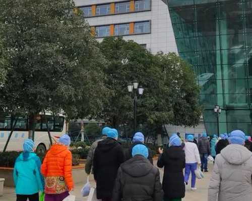 河南试管助孕：2026年河南省热门医院排名与借卵自怀成功率解析