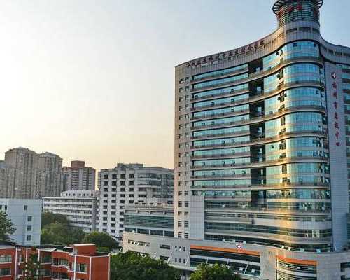 孕期饮食指南：探究皇帝菜的营养价值、功效及对准妈妈的益处