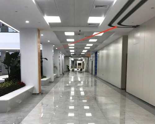 胃溃疡康复指南：饮食与生活习惯的要点