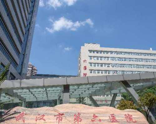 河南供卵试管医院前沿：助您了解河南试管代怀医院排名及代生流程